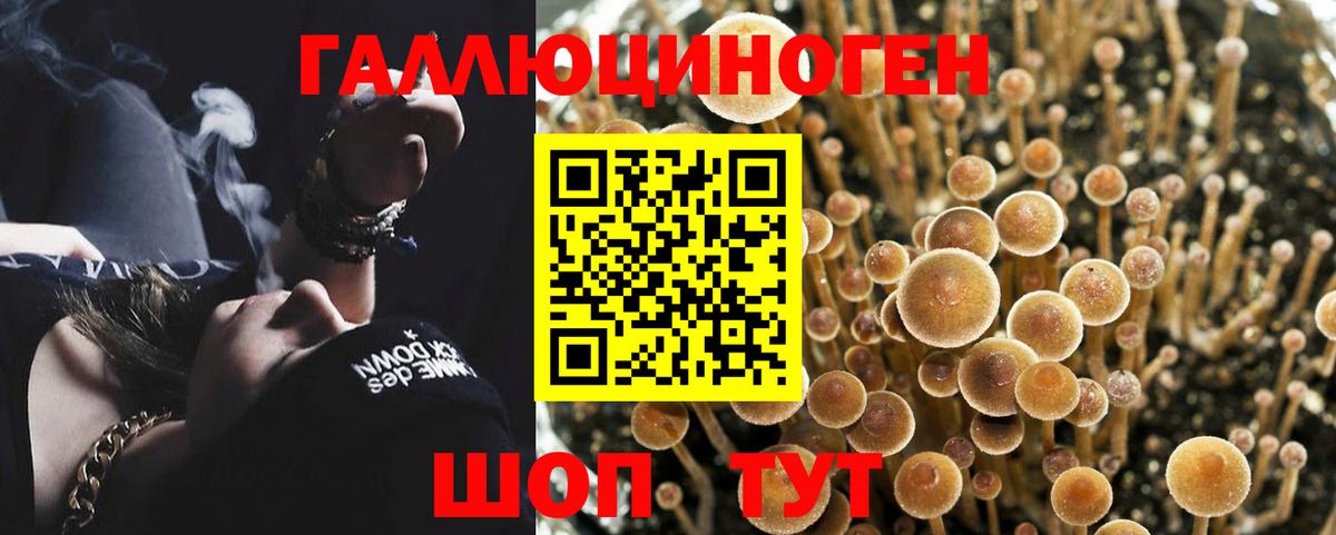 Галлюциногенные грибы Magic Shrooms  Вход с VPN  хочу   Уссурийск 